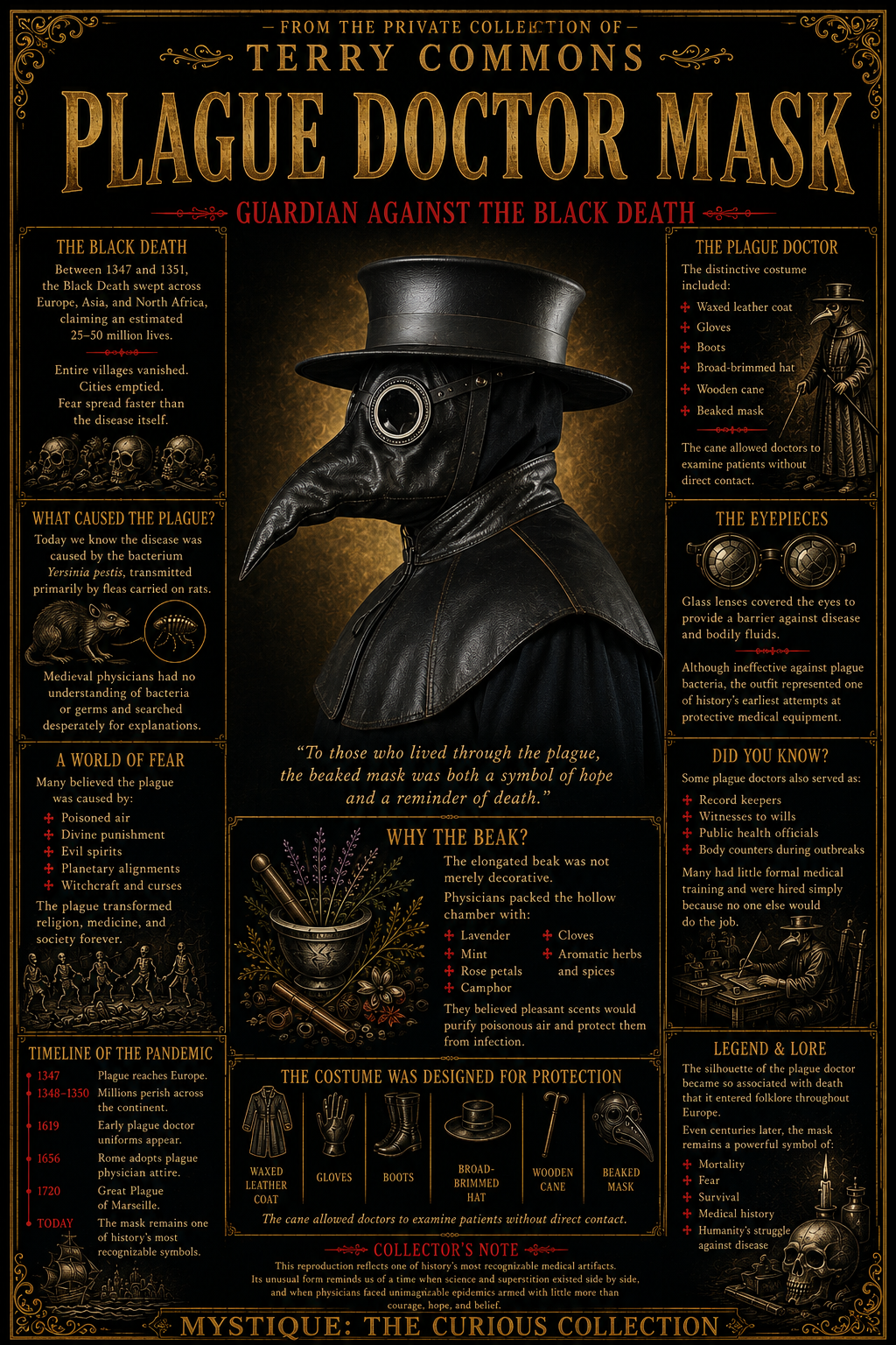 Plague Doctor Mask