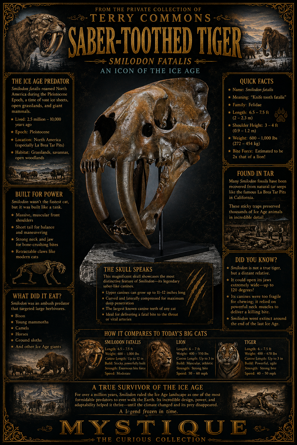Saber-Toothed Tiger